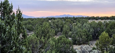 816 Hamilton Stage Rd, Elko, NV 89801 - photo 3