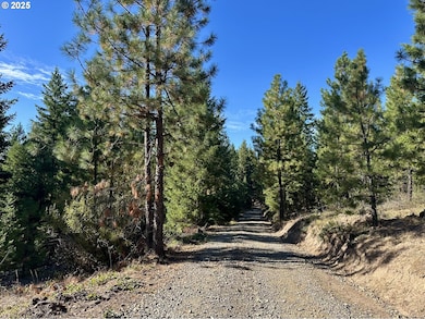 0 Black Butte Lot 7 unit 419110351, Goldendale, WA 98620 - photo 3