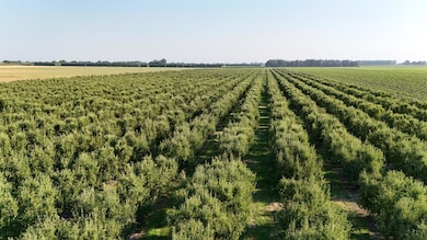 787 W Sutter Island Cross Rd, Courtland, CA 95615 - photo 3