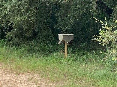 0 Sandspur Loop, Baconton, GA 31716 - photo 4