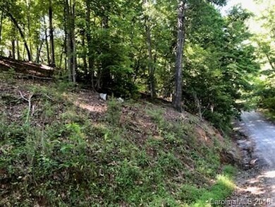 0 Mallard Rd unit 171 & 323 3396654, Lake Lure, NC 28746 - photo 4