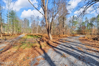 Tbd McInturff Springs Rd, Erwin, TN 37650 - photo 3
