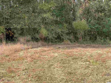 B tract State Highway 65 unit Lot 2, Conway, SC 29526 - photo 3