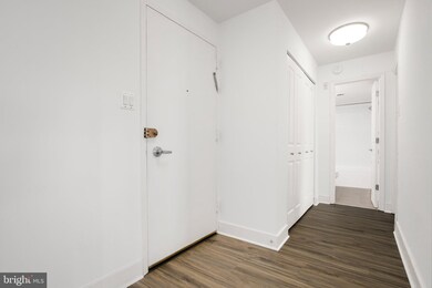 Mica Condominiums unit 507, Silver Spring, MD 20910 - photo 3