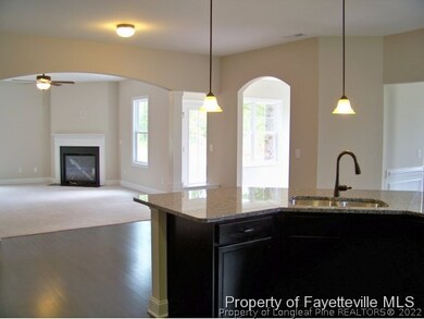 101 Caulifield (Lot 77) Rd, Aberdeen, NC 28315 - photo 4