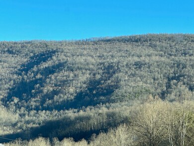 Horse Mountain Lead Pic.3
