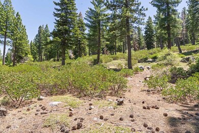 9486 Clermont Ct, Truckee, CA 96161 - photo 7