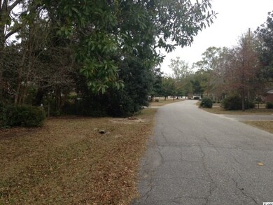 Lot 5 Busbee St, Conway, SC 29526 - photo 3