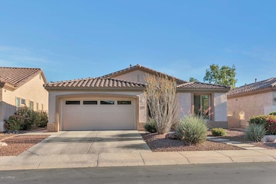 4074 E Lodgepole Dr Gilbert AZ-large-005