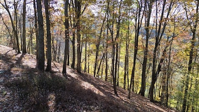 0 Savannah Dr unit RTC3042742, Smithville, TN 37166 - photo 4