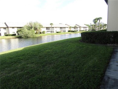 View from Your Lanai