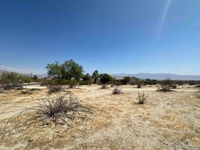0 Double O Rd unit NDP2506291, Borrego Springs, CA 92004 - photo 4
