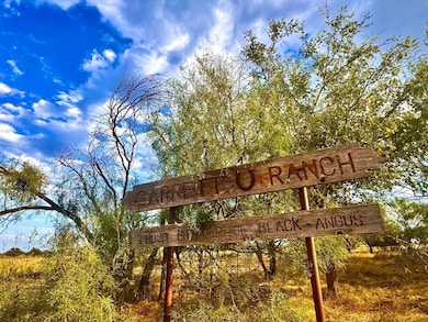 11457 Cr 187, Cisco, TX 76437 - photo 3