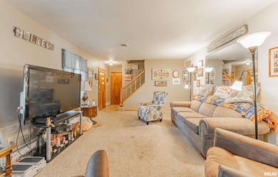 224 Rhoads Ave, Lincoln, IL 62656 - photo 6