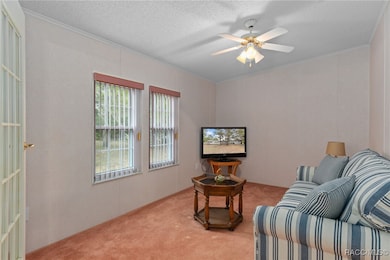 6329 & 6355 S Canna Lily Ave, Homosassa, FL 34446 - photo 5