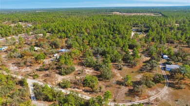 9097 N Peewee Point, Dunnellon, FL 34433 - photo 6