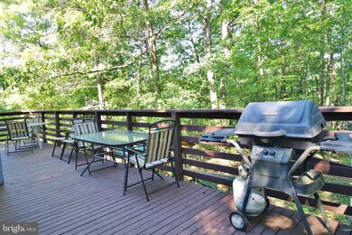 233 Brawley Ln, Basye, VA 22810 - photo 3