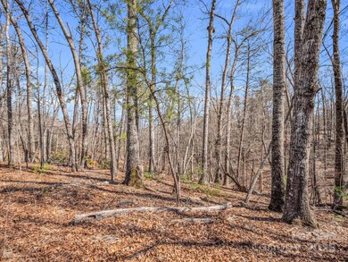 000 Forester Ln unit 24, Mill Spring, NC 28756 - photo 7