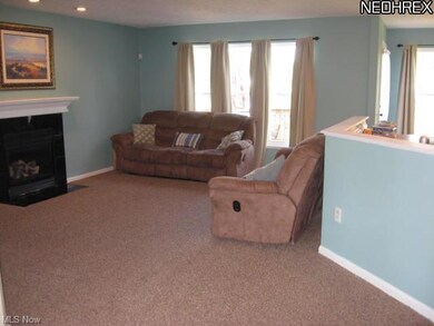 Living room with newer carpet and paint, 2008