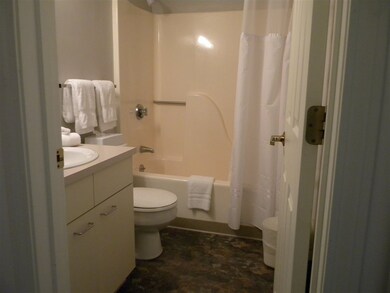 28 Packard Rd unit 411, Waterville Valley, NH 03215 - photo 7