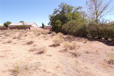 9636 N Mesa Vista Bay, Kingman, AZ 86401 - photo 3