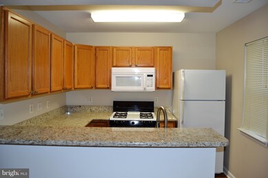 9060 Gracious End Ct unit 104, Columbia, MD 21046 - photo 4