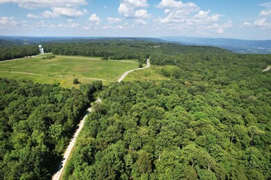 7-web-or-mls-DJI_0022