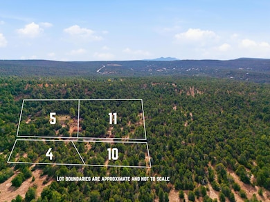 4 Hayner Ct, Tijeras, NM 87059 - photo 3