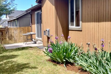 Aldrich rear yard2