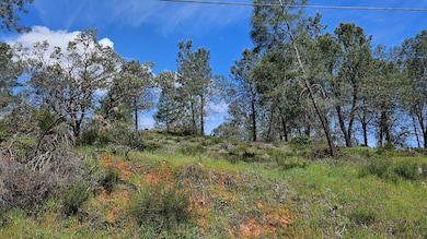 1641 Hidden Bridge Rd, El Dorado Hills, CA 95762 - photo 3