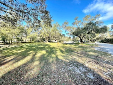 14820 N 15th St, Lutz, FL 33549 - photo 5