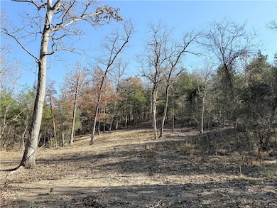 0 Owens Ln, Peel, AR 72668 - photo 3