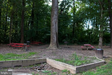 6143 Leesburg Pike unit 607, Falls Church, VA 22041 - photo 3