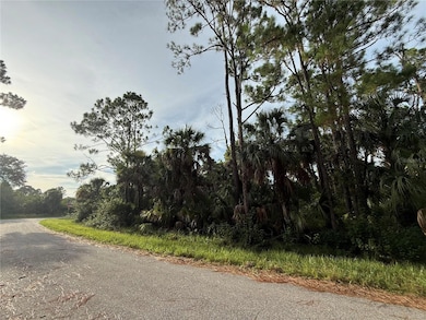 0 Boyd Ave unit MFRC7513072, North Port, FL 34286 - photo 4