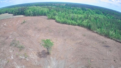 Aerial view of property and surrounding area featuring a forest