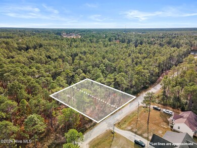 482 & 490 Wood Haven Rd, Boiling Spring Lakes, NC 28461 - photo 2