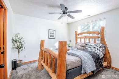 18619 Old Camp Ln SE, Yelm, WA 98597 - photo 4