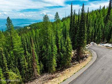 DJI_20250612041313_0713_D-HDR