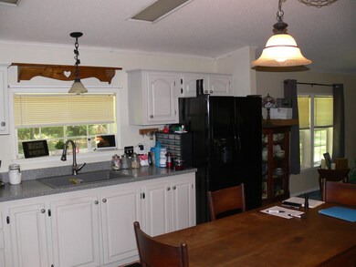 894 Dewitt Smith Rd, Pittsboro, NC 27312 - photo 3