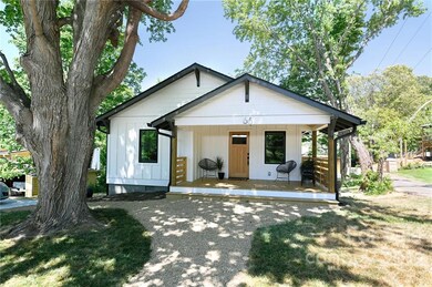 Scattered Sunlight Filters Through the Trees