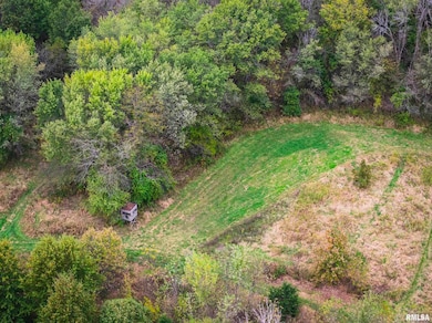 3070 E County Road 900, Plymouth, IL 62367 - photo 4