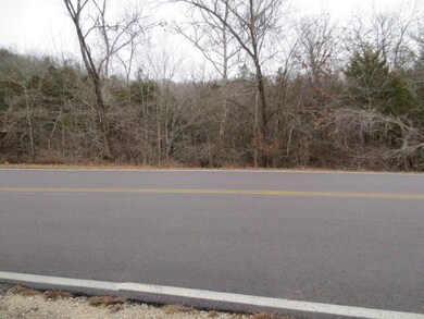 0 Lakeshore Dr unit 60154408, Kimberling City, MO 65686 - photo 3