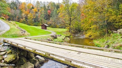 3755 Warden Branch Ln, Gatlinburg, TN 37738 - photo 3