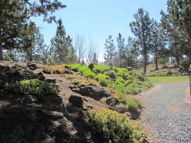 Back Yd Path Rock Garden