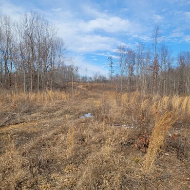 0 Mathis Cemetery Rd unit RTC2489831, Stewart, TN 37175 - photo 5