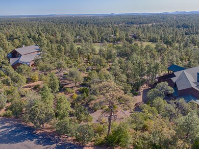 1701 S Gambel Oak Rd, Show Low, AZ 85901 - photo 4