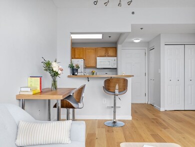 Glass Factory Condominiums unit 404, Cambridge, MA 02141 - photo 5