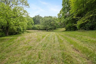 942 Paint Fork Rd, Mars Hill, NC 28754 - photo 6