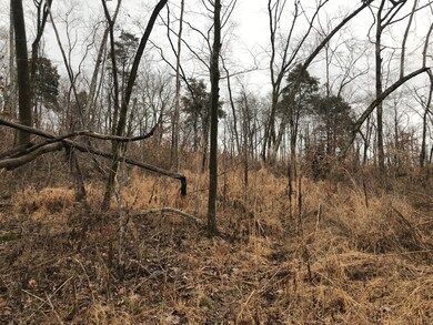 2 Alf Harris Rd, Prospect, TN 38477 - photo 7