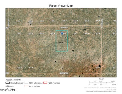 County GIS Overhead